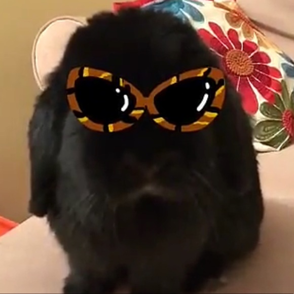 Meet your Posher, Jen - Picture 1 of 1